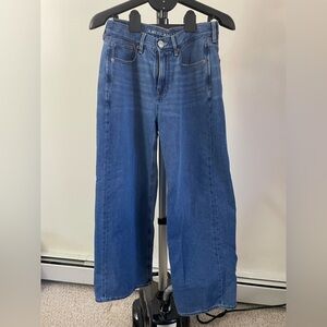 American Eagle Blue Skater Jeans